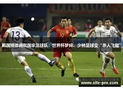 韩国媒体调侃国家足球队：世界杯梦碎，少林足球变“杀人飞腿”