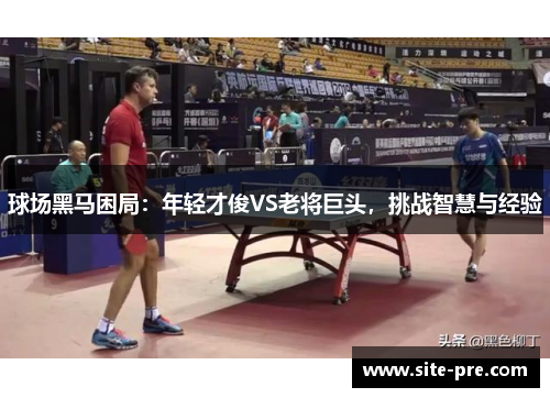 球场黑马困局：年轻才俊VS老将巨头，挑战智慧与经验